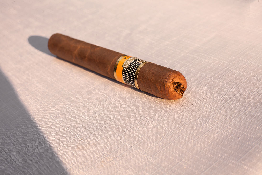 Cohiba Siglio VI & Laurent Perrier La Cuvee Brut Champagne pairing