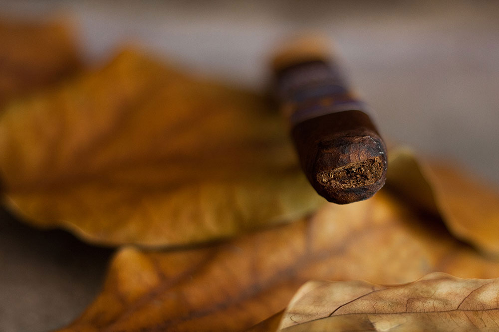 Carillo Pledge Prequel Cigar