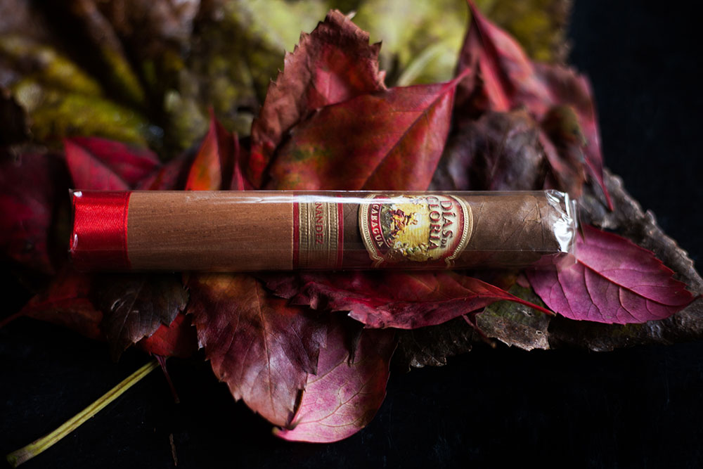 AJ Fernandez Dias da Gloria Cigar and Barolo Partes Sansilvestro 2013 pairing