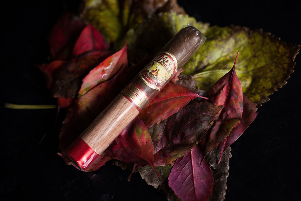 AJ Fernandez Dias da Gloria Cigar and Barolo Partes Sansilvestro 2013 pairing